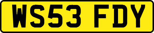 WS53FDY