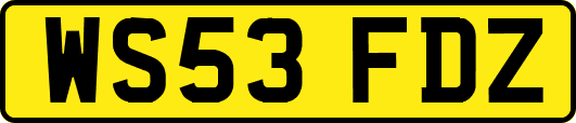 WS53FDZ