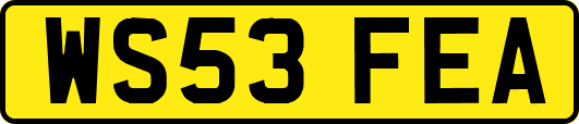 WS53FEA