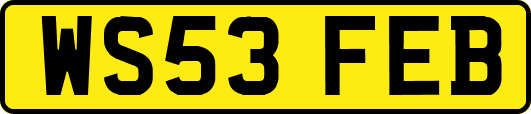 WS53FEB