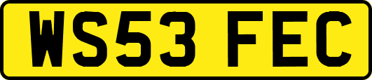 WS53FEC