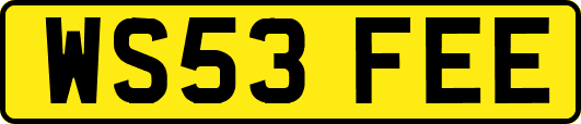 WS53FEE