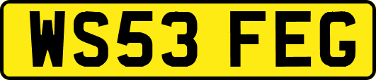 WS53FEG