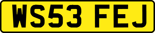 WS53FEJ