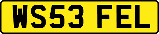 WS53FEL
