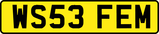 WS53FEM