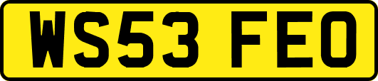 WS53FEO