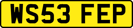 WS53FEP