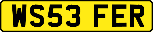 WS53FER