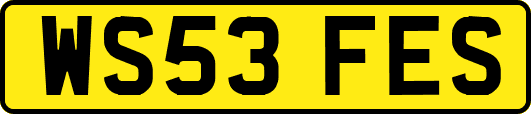 WS53FES