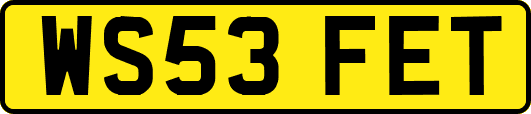 WS53FET