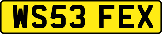 WS53FEX
