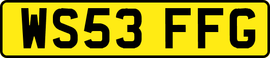 WS53FFG