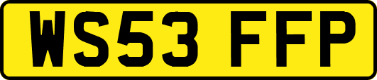 WS53FFP
