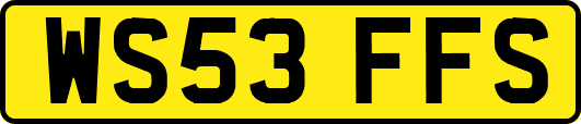 WS53FFS