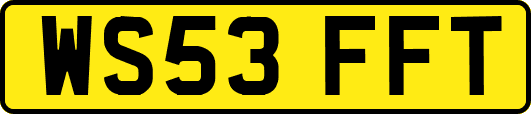 WS53FFT