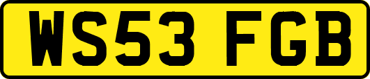WS53FGB