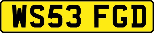 WS53FGD