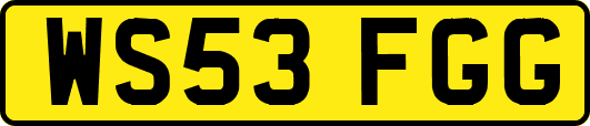 WS53FGG