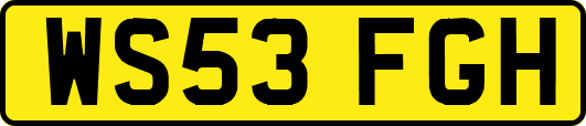WS53FGH