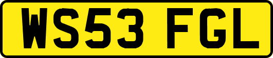 WS53FGL