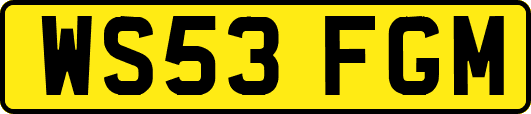 WS53FGM