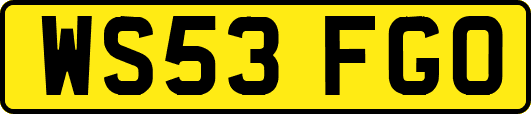 WS53FGO