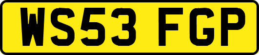 WS53FGP