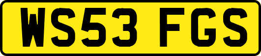 WS53FGS
