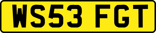 WS53FGT