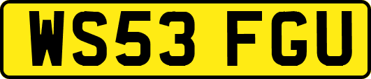 WS53FGU