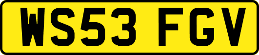 WS53FGV