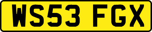 WS53FGX