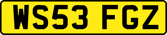 WS53FGZ