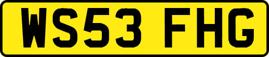 WS53FHG