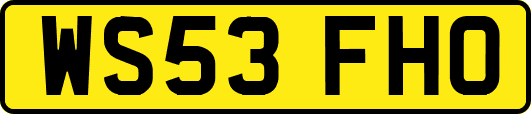 WS53FHO