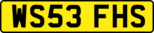 WS53FHS