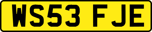 WS53FJE