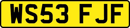 WS53FJF