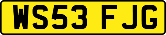 WS53FJG