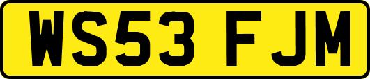 WS53FJM