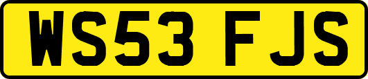 WS53FJS