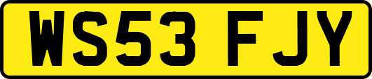 WS53FJY