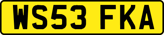 WS53FKA