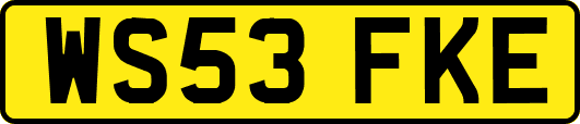 WS53FKE