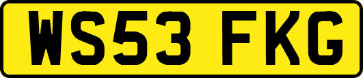WS53FKG