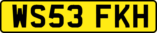 WS53FKH