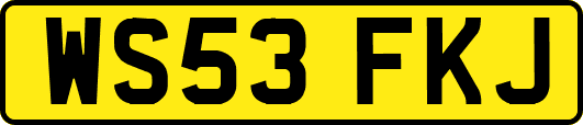 WS53FKJ
