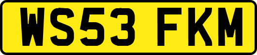 WS53FKM