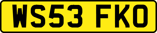 WS53FKO